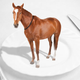 Illustration for article titled Study Finds 20 Percent of Ground Meat Isnt What It Says On the Label
